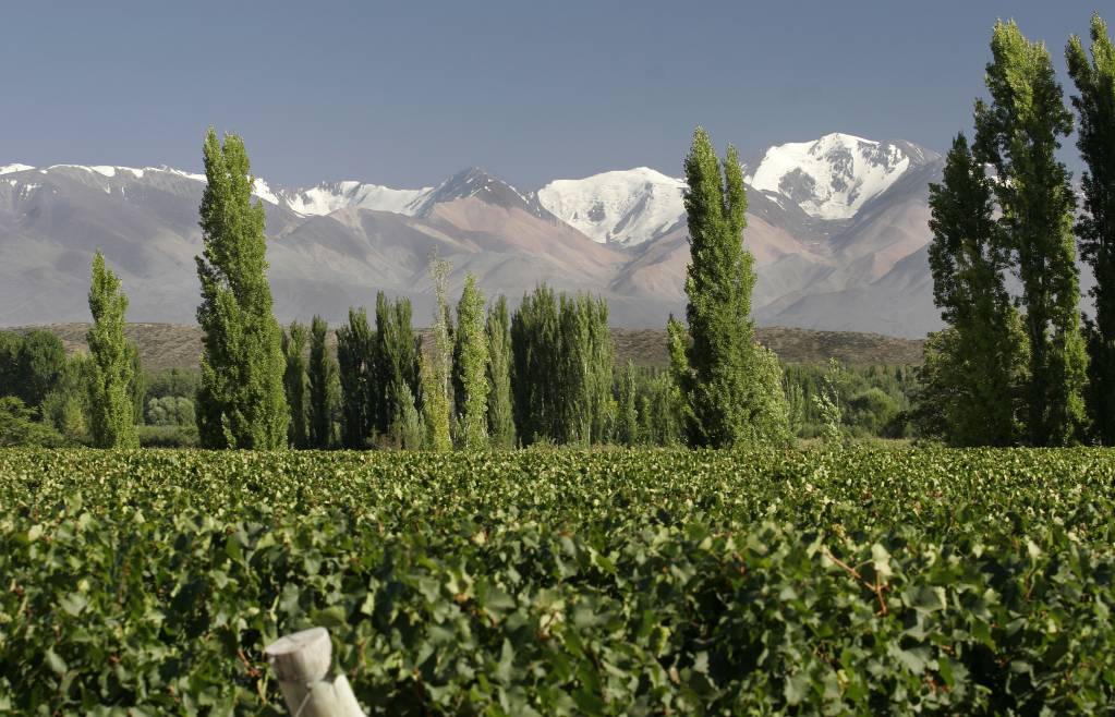 01-Vineyards-at-Uco-Valley-Mendoza